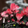 user5441918260359