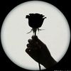devilmoon267