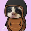 taolaihoingao