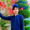 295gussewala