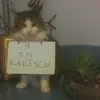 myacherka