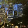 shayshay2337