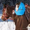 charljfcnj0