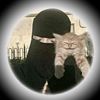 meri_em2288