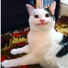 tuynkim443