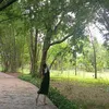 nhungvo4456