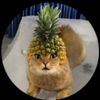 the_one_and_only_capple