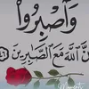 user8593758461081