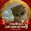 ho.nguyn.nh23