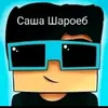 darzik_02
