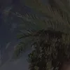 nahla68947