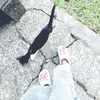piirgoo___