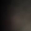 max_12_bln