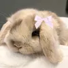 twopiijzi6e