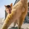 bulmeshca