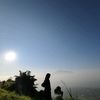 risdianir