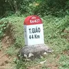 nkaujj2011