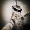 azzila_756