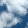 nicolico