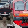 shorter_from_chelyabinsk