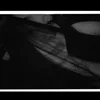 satanawxs