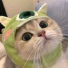 nayy_0261