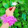 saima.akter0346