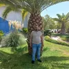 user7710591422419