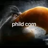 prisedentkitayado