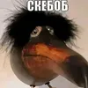 rtggfyh