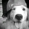 renzxyyyy2