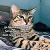 targetgaji10