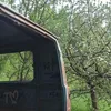 wertyu_71