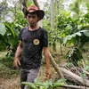 kambing story