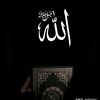 mohamedashraf7179