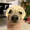 russiankaktus