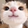cathena_with_you