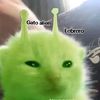 el_tio_nava