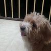 hoseyn.vatani