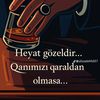 kasb.adam85