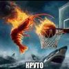 zzzyyxoroooo.com