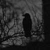 hunter_trysov