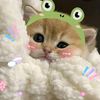 lun_yair93