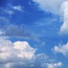 thewind705