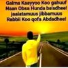 user5560320020077