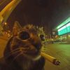 muriel_078