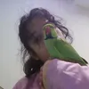 animals4life4