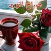 user6882420252444