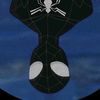spidermat2