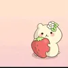 dh.gc6